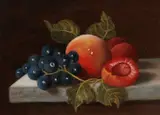 C. Cornelis, Stilleven met fruit, Olieverf op paneel