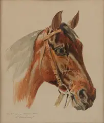 W. Verschuur jr., Studie paardenhoofd, Aquarel op papier
