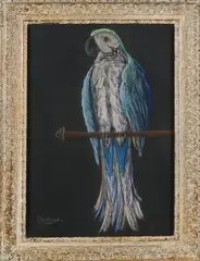 H. Berlage, Papegaai, Pastel op papier