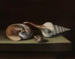 C. Cornelis, Stilleven met schelpen, Olieverf op paneel