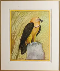 C.G. van Os, baardgier, Aquarel op papier