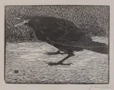 Jan Mankes, Kraai