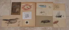 Ids Wiersma, Lot tekeningen/etsen, Lot tekeningen/etsen (11x)