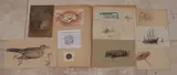 Ids Wiersma, Lot tekeningen/etsen, Lot tekeningen/etsen (11x)