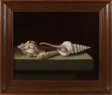Stilleven met schelpen by C. Cornelisz, Olieverf op paneel, sold Jan 2019