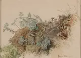 Franz Alt, Rotspartij met planten