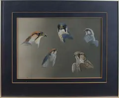 Ruud Weenink, Valken, Gouache op papier