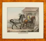 18e Eeuwse handingekleurde gravure, Chevaux d' Allemagne, 18e Eeuwse handingekleurde gravure