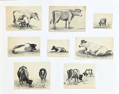 KIaas Bernink, Koeien studie, Houtskool op papier