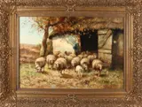 C. Verschuur, Coming sheep, Olieverf op linnen