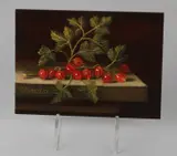 C. Cornelisz, Kruisbessen, Olieverf op paneel