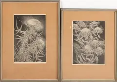 2 Etsen, W. Wassenaar, Twee x W.Wassenaar 1873-1956, distels, etsen op papier 23x17cm