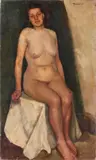 Schilderij Reichelt, naakte dame, Reichelt '39 zittende naakte dame, olieverf op linnen 47x81cm Cond:G