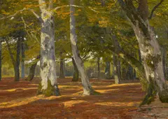 Julius Wentscher, Waldansicht, Öl auf Leinwand