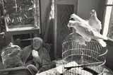 Henri Cartier-Bresson, Henri Matisse, Vence, France