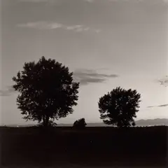Summer Nights #2 by Robert Adams, 1979, Gelatin silver print, printed 1985, sold Jul 2020