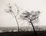 Robert Adams, On Signal Hill Overlooking Long Beach
