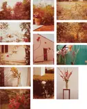 William Eggleston, Flowers