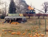 Joel Sternfeld, McLean, Virginia, December 4, 1978, Dye transfer print, printed 1985