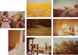 William Eggleston, Morals of Vision
