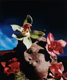 Horst P. Horst, Greek Head with Orchids