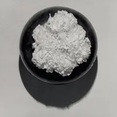 Carnation, N.Y.C. by Robert Mapplethorpe, 1978, Gelatin silver print from the Y Portfolio, sold Jul 2020