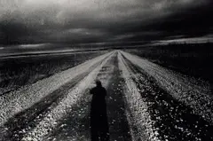 Landscape by Daidō Moriyama, 2005, Gelatin silver print, sold Jul 2020