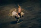Motion Study Rodeo by Ernst Haas, 1957, Chromogenic print, printed later, flush-mounted, offered Jul 2020