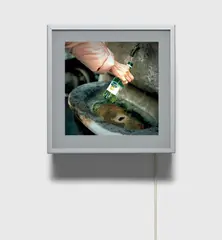 Basin in Rome 2 by Jeff Wall, 2003-2006, Transparency in lightbox, offered Jul 2020