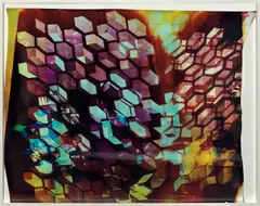 Mariah Robertson, 66, 2011, Unique chromogenic print