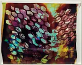 Mariah Robertson, 66, 2011, Unique chromogenic print