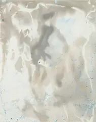 James Welling, Feb (10) c. 2014, 2014, Unique chemigram with applied acrylic paint