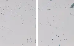 Walter Niedermayr, Theodulgletscher II, 2005, Chromogenic print diptych