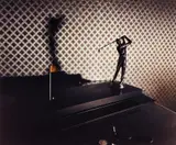 Larry Sultan, Golf Trophy, from Pictures from Home