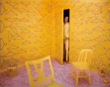 Sandy Skoglund, Coat hangers