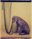William Wegman, Netted