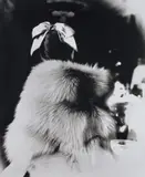 Lillian Bassman, The Little Furs: Mary Jane Russell in a cape-jacket by Ritter Brothers at the Essex House, New York