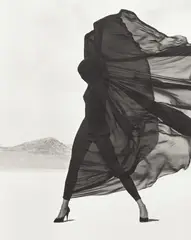 Herb Ritts, Versace, Veiled Dress, El Mirage, 1990, Gelatin silver print