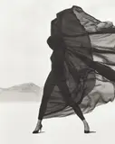 Herb Ritts, Versace, Veiled Dress, El Mirage