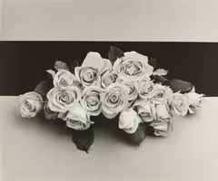 Roses by Robert Mapplethorpe, 1987, Oversized gelatin silver print, offered Oct 2020