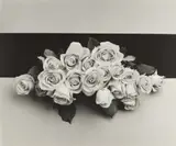 Roses by Robert Mapplethorpe, 1987, Oversized gelatin silver print, offered Oct 2020