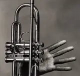 Miles Davis, Hand and Trumpet, New York, July 1 by Irving Penn, 1986, Selenium-toned gelatin silver print, printed 1998, sold Oct 2020