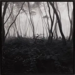 Bae Bien-U, SNM3A-017 from Sonamoo, 1985, Chromogenic print, printed 2009, face-mounted to Plexiglas