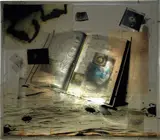 Doug Starn and Mike Starn, Solar Plasma, 1992-1995, Toned silver prints on polyester with Plexiglas, paint, ink and silicone in illuminated vitrine