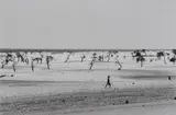 Site of the now dried Lake Faguibine, Mali, Africa by Sebastião Salgado, 1985, Gelatin silver print, printed later, offered Oct 2020
