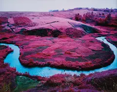 Beast of Burden by Richard Mosse, 2015, Chromogenic print, sold Oct 2020
