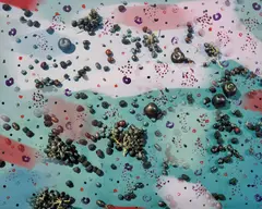 Sam Falls, Blackberries, Blueberries, Cherries, Plums, Raspberries, Red Flame Grapes, 2012, Unique archival pigment print with applied acrylic paint