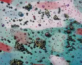 Sam Falls, Blackberries, Blueberries, Cherries, Plums, Raspberries, Red Flame Grapes, 2012, Unique archival pigment print with applied acrylic paint
