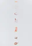 Sarah Charlesworth, Subtle Body from Academy of Secrets, 1989, Dye destruction print, mounted