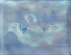 Swan from My Ghost by Adam Fuss, 2000, Pigment print, sold Oct 2020